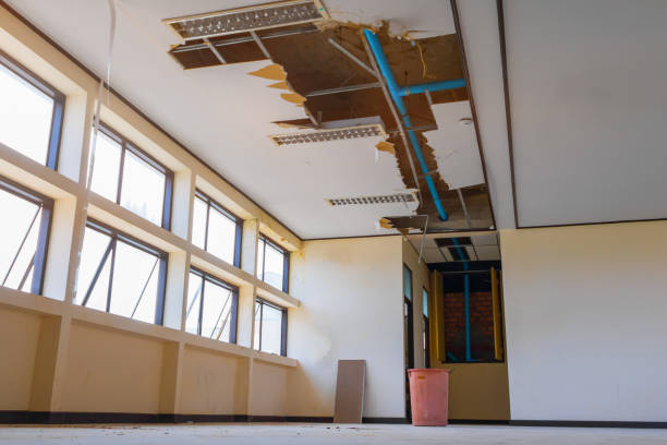 Best Water damage restoration near me  in Clarksburg, WV