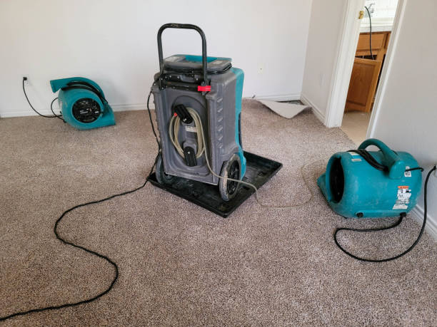 Best Flood restoration services  in Clarksburg, WV