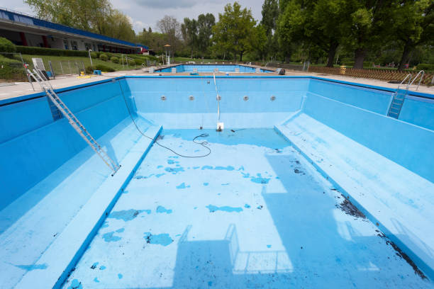 Best Professional water damage repair  in Clarksburg, WV