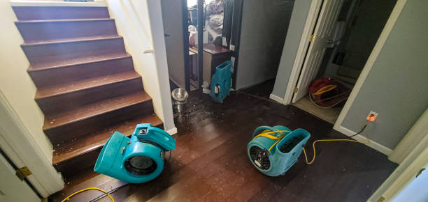 Best Basement water damage restoration  in Clarksburg, WV