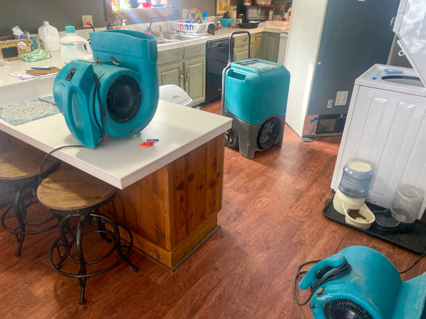 Best Local water damage restoration  in Clarksburg, WV