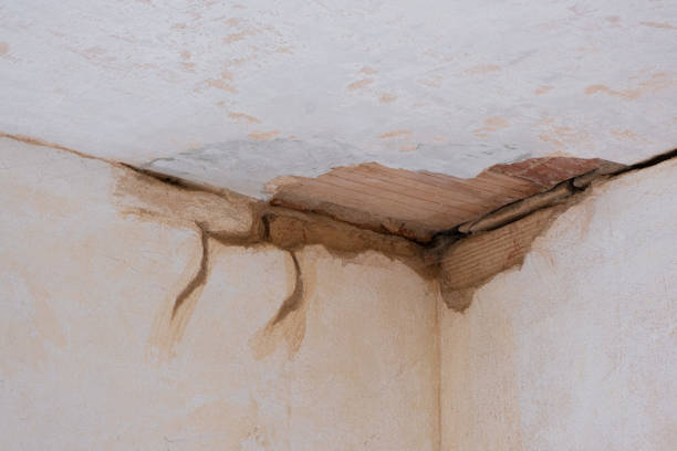 Best Sewage cleanup and water damage restoration  in Clarksburg, WV