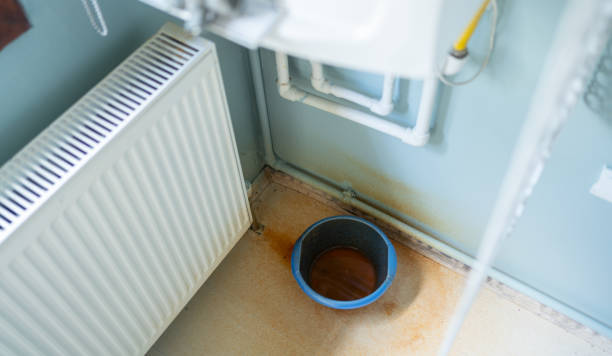 Best Carpet water damage restoration  in Clarksburg, WV