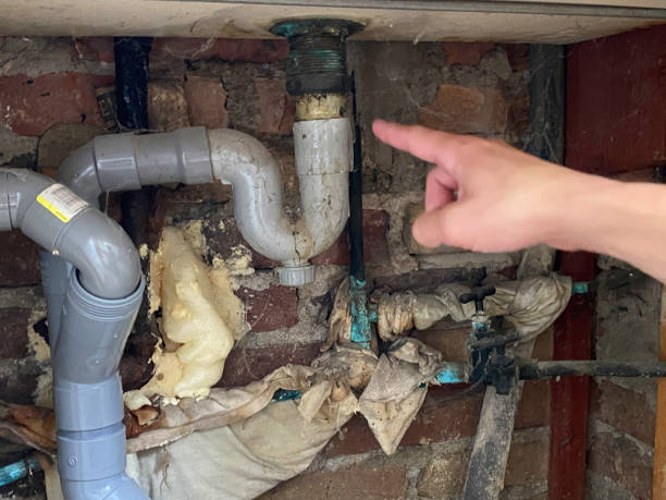 Best Carpet water damage restoration  in Clarksburg, WV
